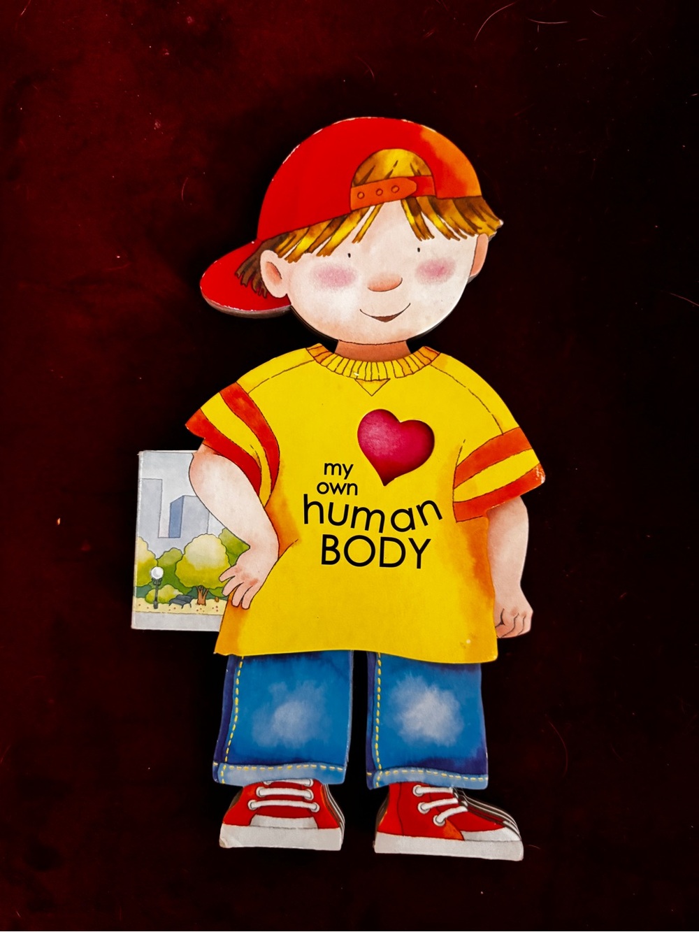Kids 'My Own Human Body' Educational Cardboard book